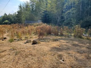 Photo 56: 3080 Michelson Rd in Sooke: Sk Otter Point House for sale : MLS®# 930324