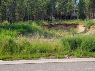Photo 6: 1917 PINE RIDGE MOUNTAIN LINK in Invermere: Vacant Land for sale : MLS®# 2478047