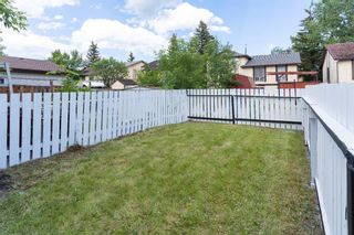 Photo 22: 428 Templeview Drive NE in Calgary: Temple Semi Detached for sale : MLS®# A1236606