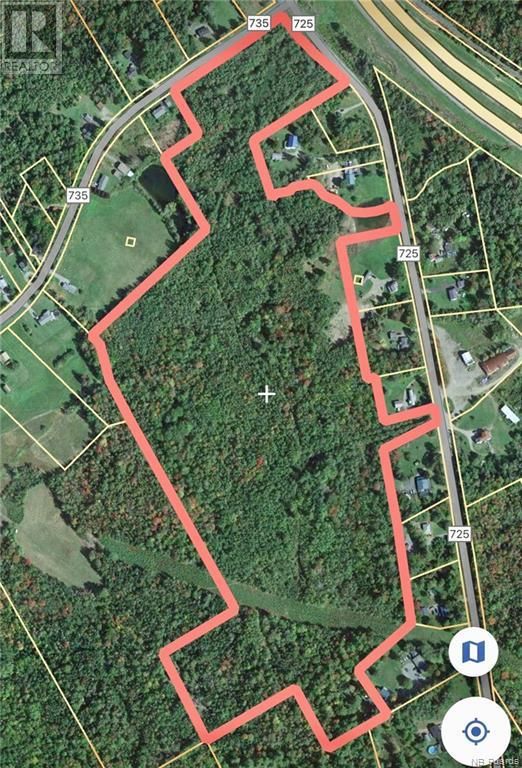 Main Photo: 64+ Acres Route 725 in Little Ridge: Vacant Land for sale : MLS®# NB093739