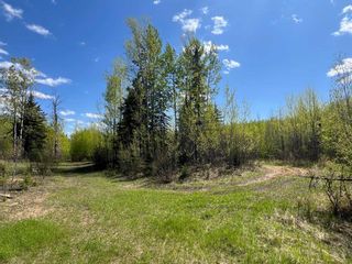 Photo 47: 263070 Otter Creek Road in Rural Lesser Slave River No. 124, M.D. of: Rural Lesser Slave River M.D. Detached for sale : MLS®# A2085764