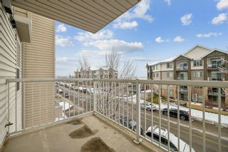 Photo 20: 310 2000 Applevillage Court SE in Calgary: Applewood Park Apartment for sale : MLS®# A2125538
