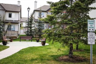 Photo 46: 123 EVERRIDGE Gardens SW in Calgary: Evergreen House for sale : MLS®# C4116802