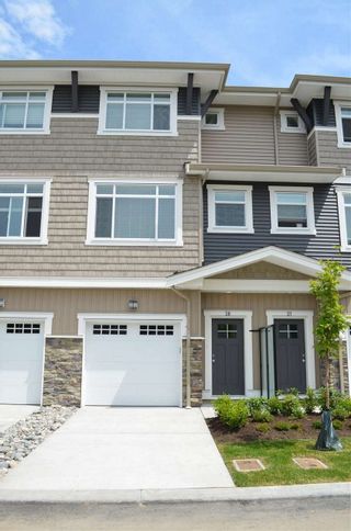Photo 1: 20 34230 ELMWOOD Drive in Abbotsford: Central Abbotsford Townhouse for sale in "Ten Oaks" : MLS®# R2175066