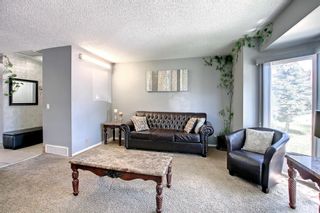 Photo 6: 59 Whitehaven Road in Calgary: Whitehorn Detached for sale : MLS®# A1241321