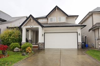 Main Photo: 8377 208B Street in Langley: Willoughby Heights House for sale in "The Uplands" : MLS®# R2220478