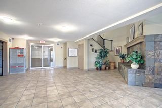 Photo 21: 305 428 Chaparral Ravine View SE in Calgary: Chaparral Apartment for sale : MLS®# A1244179