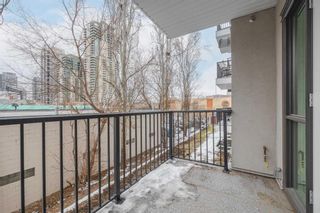 Photo 18: 202 138 18 Avenue SE in Calgary: Mission Apartment for sale : MLS®# A2110771