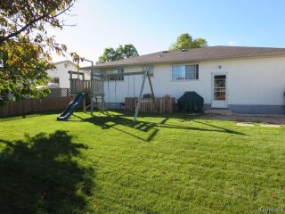Photo 17:  in Winnipeg: Residential for sale or lease : MLS®# 1525817