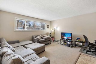 Photo 31: 6131 Bowness Road NW in Calgary: Bowness 4 plex for sale : MLS®# A2125637