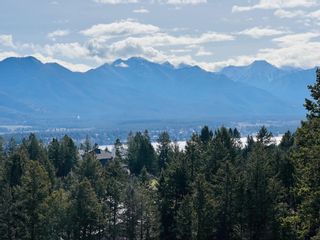 Photo 24: 1711 PINE RIDGE MOUNTAIN PLACE in Invermere: House for sale : MLS®# 2476006