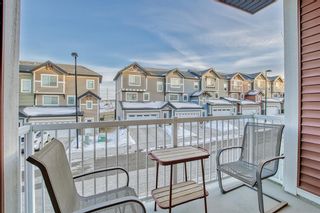 Photo 30: 33 Nolan Hill Boulevard NW in Calgary: Nolan Hill Row/Townhouse for sale : MLS®# A2036333