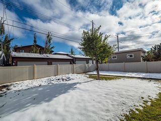 Photo 28: 106 11A Street NE in Calgary: Bridgeland/Riverside Detached for sale : MLS®# A2008413