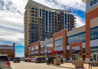 Photo 26: 203 8880 Horton Road SW in Calgary: Haysboro Apartment for sale : MLS®# A2050779