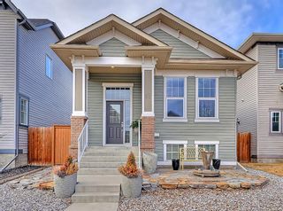 Photo 1: 93 Elgin Meadows Circle SE in Calgary: McKenzie Towne Detached for sale : MLS®# A1199353