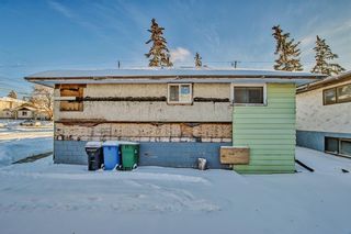 Photo 15: 2636 14 Avenue SE in Calgary: Albert Park/Radisson Heights Detached for sale : MLS®# A2028402