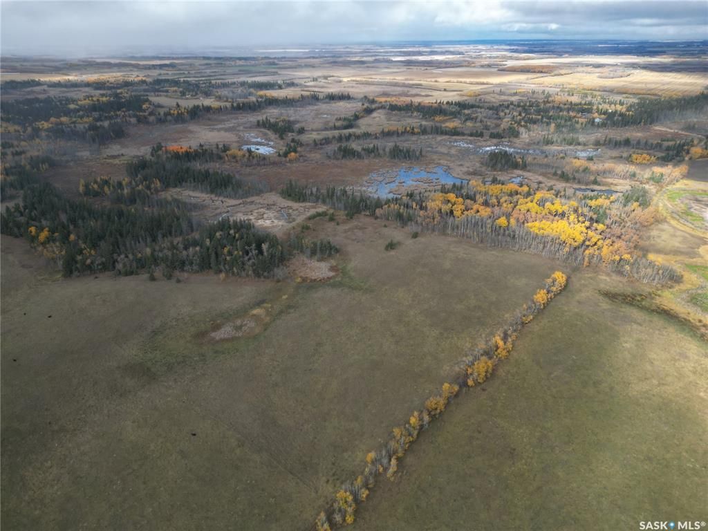 Main Photo: RM of Shellbrook No. 493 Land in Shellbrook: Lot/Land for sale (Shellbrook Rm No. 493)  : MLS®# SK949125
