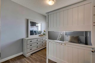 Photo 25: 133 Pantego Lane NW in Calgary: Panorama Hills Row/Townhouse for sale : MLS®# A2132278