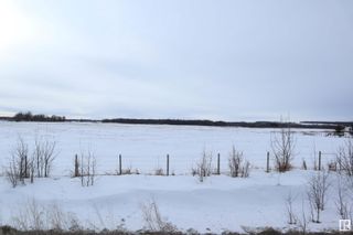 Photo 45: 470072 RR 273: Rural Wetaskiwin County House for sale : MLS®# E4327741