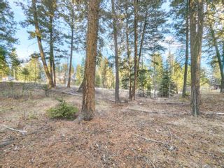Photo 6: LOT 51 STEWART Road in 108 Mile Ranch: 108 Ranch Land for sale (100 Mile House)  : MLS®# R2883807
