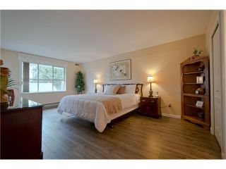 Photo 10: 203 15439 100 Avenue in Surrey: Guildford Townhouse for sale in "Plumtree Lane" (North Surrey)  : MLS®# F1404844