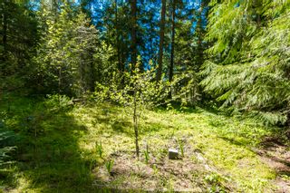 Photo 29: 3977 Myers Frontage Road: Tappen House for sale (Shuswap)  : MLS®# 10134417