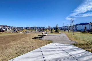 Photo 39: 12 Saddlelake Link NE in Calgary: Saddle Ridge Detached for sale : MLS®# A2008179