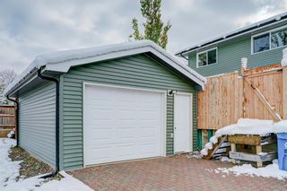 Photo 45: 4 Beacham Rise NW in Calgary: Beddington Heights Detached for sale : MLS®# A2008243