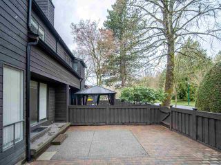 Photo 12: 15 3220 ROSEMONT Drive in Vancouver: Champlain Heights Townhouse for sale in "ASPENWOOD II" (Vancouver East)  : MLS®# R2566303