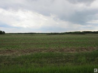 Photo 6: Twp Rd 612 RR 223: Rural Thorhild County Rural Land/Vacant Lot for sale : MLS®# E4299660