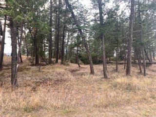 Photo 10: Lot 4 CROOKED TREE PLACE in Fairmont Hot Springs: Vacant Land for sale : MLS®# 2468003