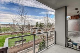 Photo 14: 314 46 9 Street NE in Calgary: Bridgeland/Riverside Apartment for sale : MLS®# A2128255