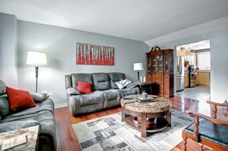 Photo 4: 305 2211 19 Street NE in Calgary: Vista Heights Row/Townhouse for sale : MLS®# A1245740