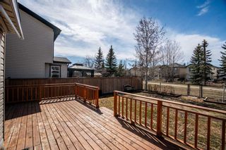 Photo 36: 27 Cranfield Circle SE in Calgary: Cranston Detached for sale : MLS®# A2123206