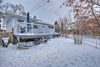Photo 30: 703 36 Street NW in Calgary: Parkdale Detached for sale : MLS®# A2101688