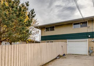 Photo 36: 512 33 Avenue NE in Calgary: Winston Heights/Mountview Semi Detached for sale : MLS®# A1164134