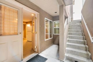 Photo 45: 4252 Oakview Close in Saanich: SE Gordon Head Single Family Residence for sale (Saanich East)  : MLS®# 969060