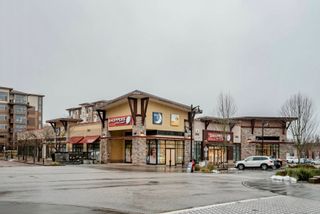 Photo 24: Home for sale - A310 20727 WILLOUGHBY TOWN CENTRE Drive in Langley, V2Y 1X1