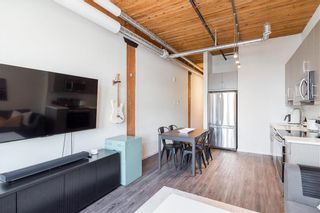 Photo 6: 208 139 Market Avenue in Winnipeg: Exchange District Condominium for sale (9A)  : MLS®# 202324344