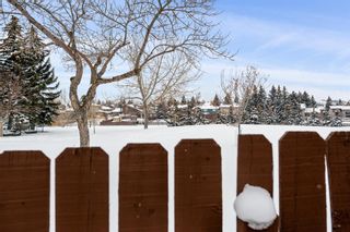 Photo 15: 167 Bernard Way NW in Calgary: Beddington Heights Detached for sale : MLS®# A2029665