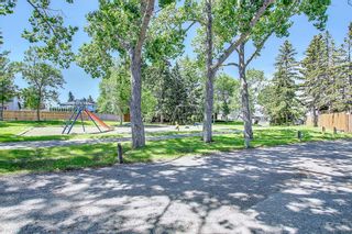 Photo 49: 311 Whitehorn Place in Calgary: Whitehorn Detached for sale : MLS®# A1240329