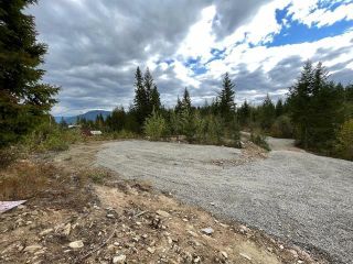 Photo 1: 292 Terry Road, in Enderby: Vacant Land for sale : MLS®# 10239679