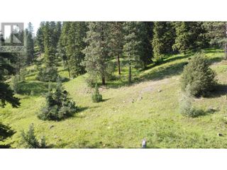 Photo 14: 40 Acres Shuswap River Drive in Lumby: Vacant Land for sale : MLS®# 10268876