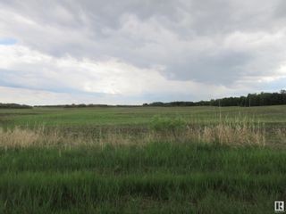 Photo 12: Twp Rd 612 RR 223: Rural Thorhild County Rural Land/Vacant Lot for sale : MLS®# E4299660