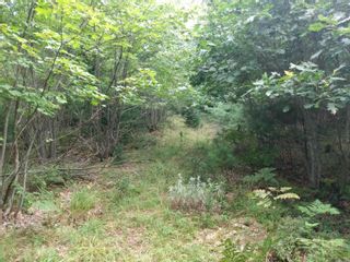 Photo 4: Highway 325 in West Clifford: 405-Lunenburg County Vacant Land for sale (South Shore)  : MLS®# 202220360