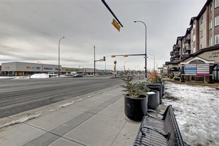 Photo 43: 1728 54 Street SE in Calgary: Penbrooke Meadows Detached for sale : MLS®# C4220376