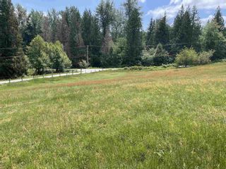 Photo 6: 32383 DOWNES ROAD in Abbotsford: Vacant Land for sale : MLS®# C8057312