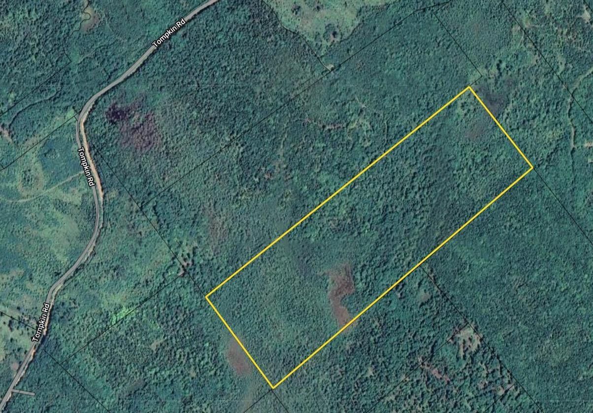 Main Photo: Lot Tompkin Road in Stanley Section: 405-Lunenburg County Vacant Land for sale (South Shore)  : MLS®# 202320095