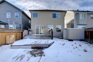 Photo 52: 25 Martha's Meadow Place NE in Calgary: Martindale Detached for sale : MLS®# A1259180