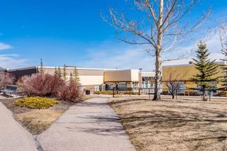 Photo 38: 263 Silverado Plains Close SW in Calgary: Silverado Detached for sale : MLS®# A2123792